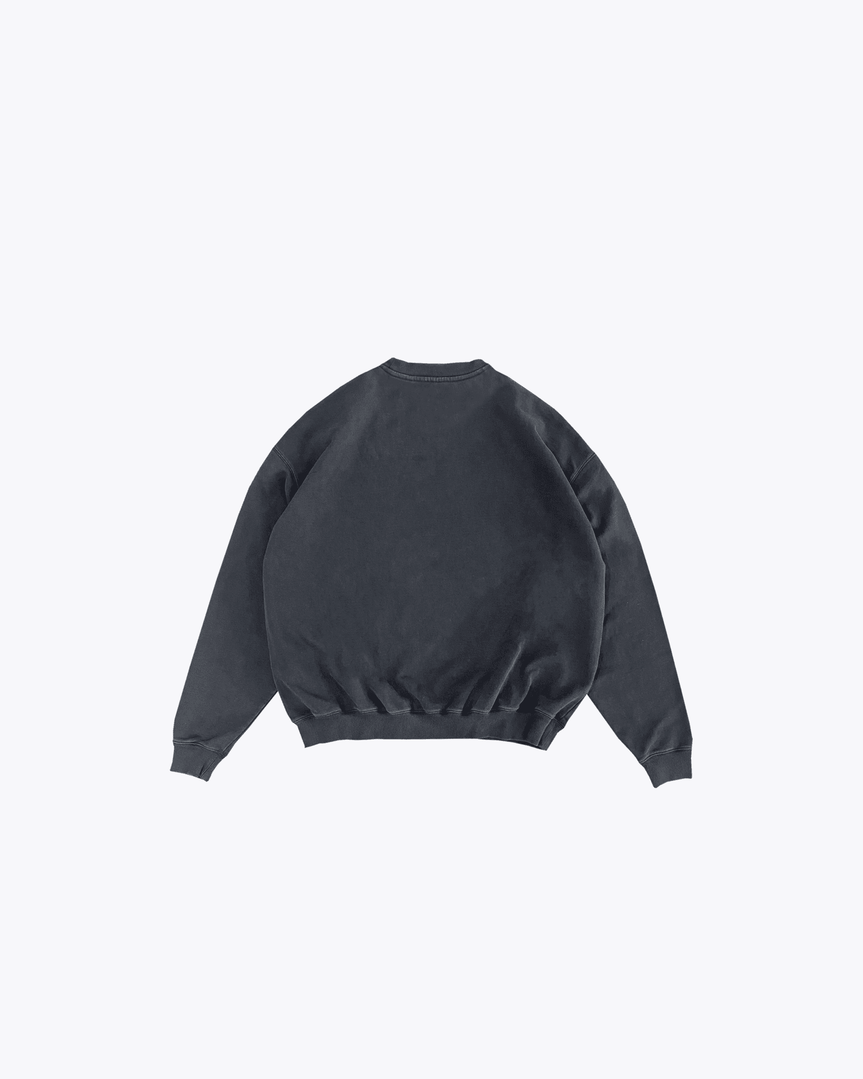 Medusa Sweatshirt (2)
